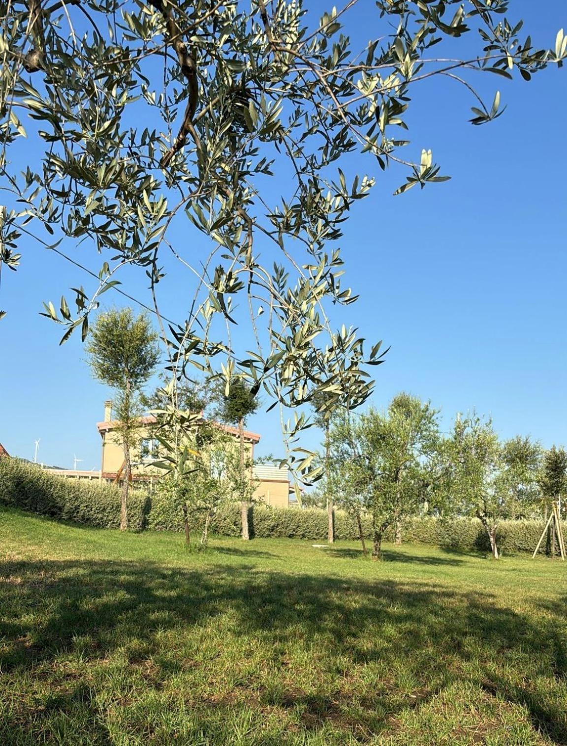 Masseria Spinale Wine Resort Melfi Exterior photo